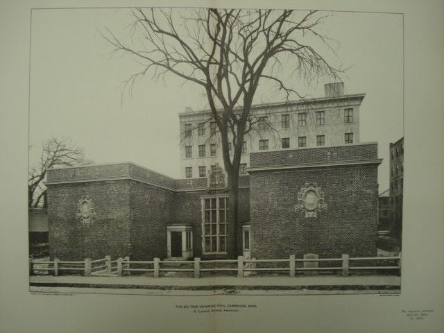 Big Tree Swimming Pool in Cambridge MA, 1902. R. Clipston Sturgis. Pho ...