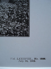 House of Mrs. H.H. Porter, Cedarhurst, Long Island, NY, 1905, Barney & Chapman